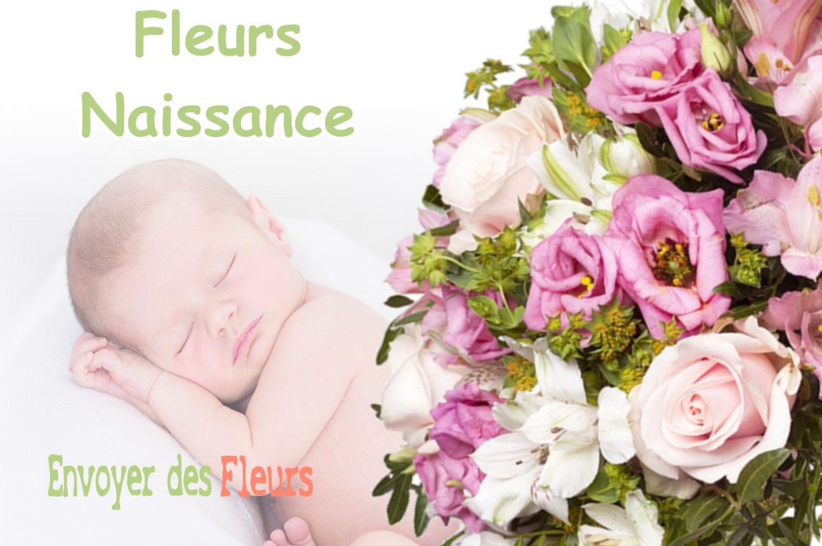 lIVRAISON FLEURS NAISSANCE à BUZET-SUR-TARN